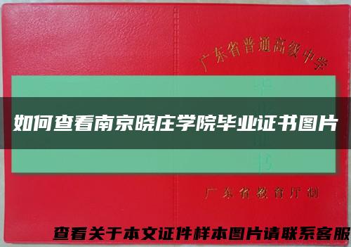 如何查看南京晓庄学院毕业证书图片缩略图