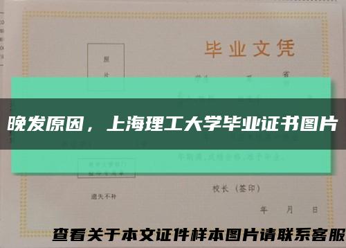 晚发原因，上海理工大学毕业证书图片缩略图