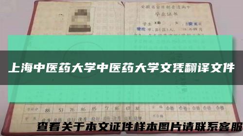 上海中医药大学中医药大学文凭翻译文件缩略图