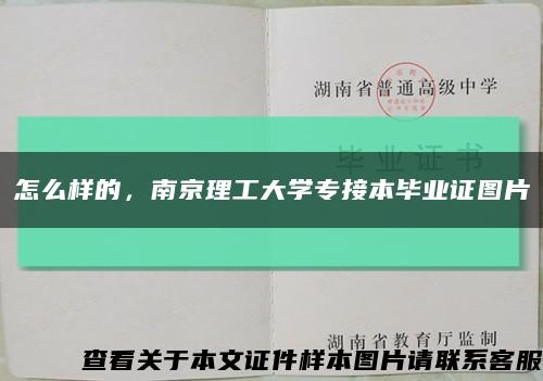 怎么样的，南京理工大学专接本毕业证图片缩略图