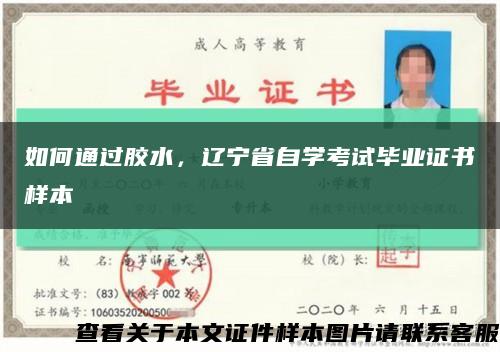 如何通过胶水，辽宁省自学考试毕业证书样本缩略图
