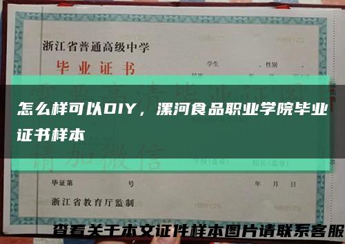 怎么样可以DIY，漯河食品职业学院毕业证书样本缩略图