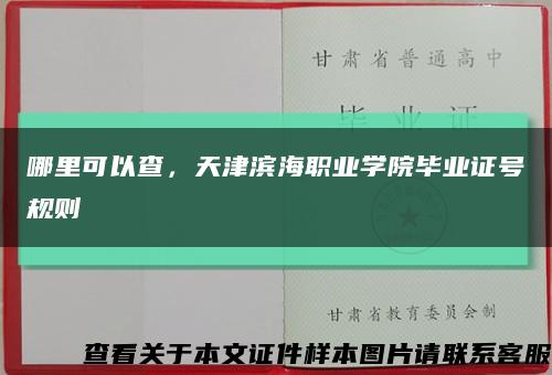 哪里可以查，天津滨海职业学院毕业证号规则缩略图