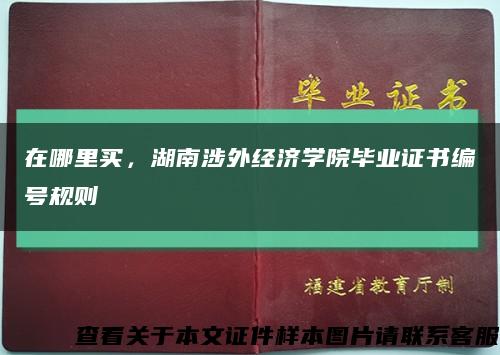 在哪里买，湖南涉外经济学院毕业证书编号规则缩略图