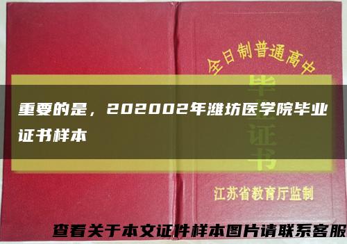 重要的是，202002年潍坊医学院毕业证书样本缩略图