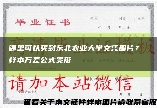 哪里可以买到东北农业大学文凭图片？ 样本方差公式变形缩略图