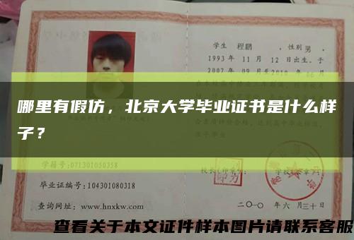 哪里有假仿，北京大学毕业证书是什么样子？缩略图