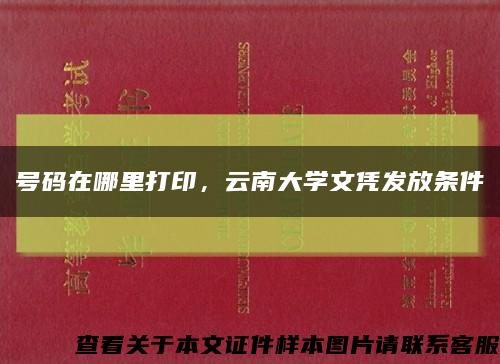 号码在哪里打印，云南大学文凭发放条件缩略图
