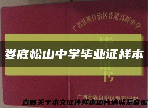 娄底松山中学毕业证样本缩略图