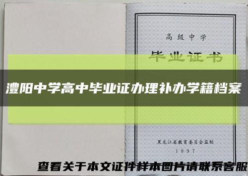 澧阳中学高中毕业证办理补办学籍档案缩略图