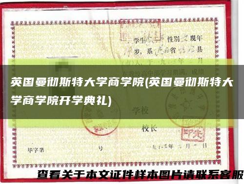 英国曼彻斯特大学商学院(英国曼彻斯特大学商学院开学典礼)缩略图