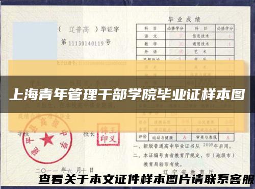 上海青年管理干部学院毕业证样本图缩略图