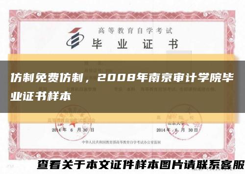 仿制免费仿制，2008年南京审计学院毕业证书样本缩略图