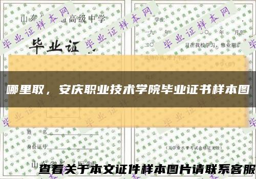 哪里取，安庆职业技术学院毕业证书样本图缩略图