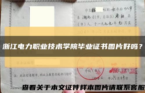浙江电力职业技术学院毕业证书图片好吗？缩略图