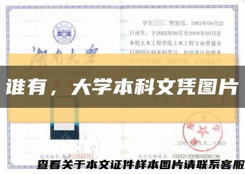 谁有，大学本科文凭图片缩略图