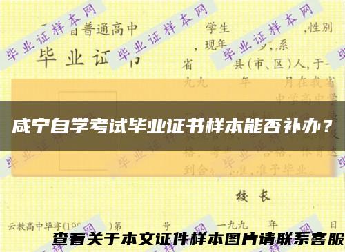 咸宁自学考试毕业证书样本能否补办？缩略图