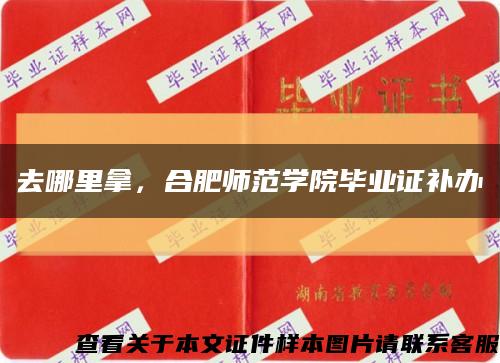 去哪里拿，合肥师范学院毕业证补办缩略图