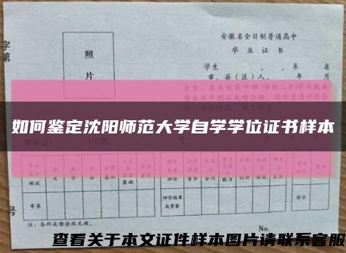 如何鉴定沈阳师范大学自学学位证书样本缩略图