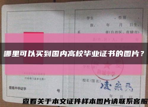 哪里可以买到国内高校毕业证书的图片？缩略图