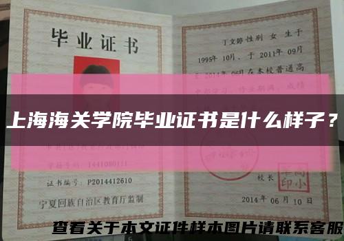 上海海关学院毕业证书是什么样子？缩略图