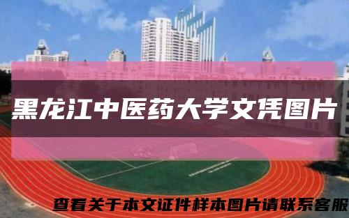 黑龙江中医药大学文凭图片缩略图