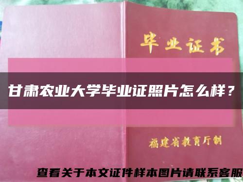 甘肃农业大学毕业证照片怎么样？缩略图