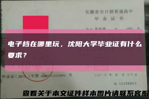 电子档在哪里玩，沈阳大学毕业证有什么要求？缩略图