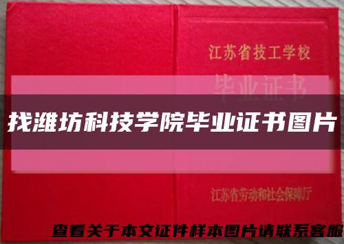 找潍坊科技学院毕业证书图片缩略图