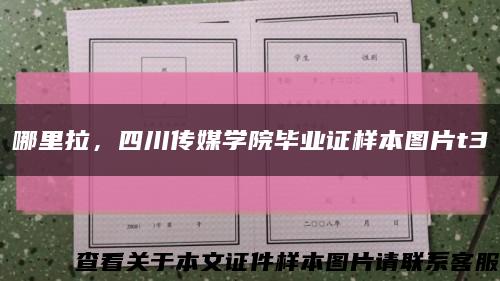 哪里拉，四川传媒学院毕业证样本图片t3缩略图