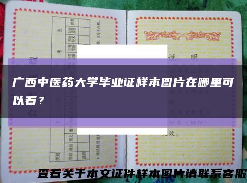 广西中医药大学毕业证样本图片在哪里可以看？缩略图