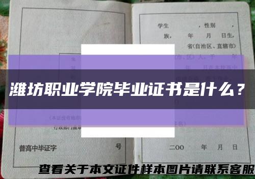 潍坊职业学院毕业证书是什么？缩略图