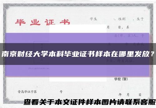 南京财经大学本科毕业证书样本在哪里发放？缩略图