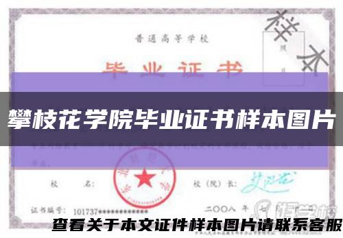 攀枝花学院毕业证书样本图片缩略图