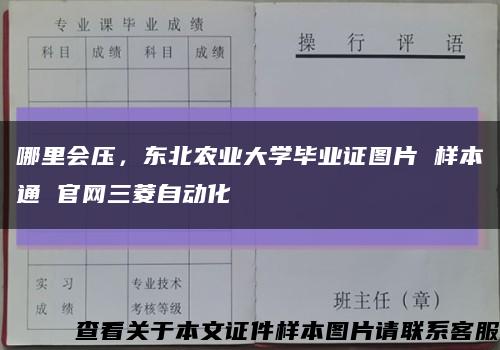 哪里会压，东北农业大学毕业证图片 样本通 官网三菱自动化缩略图