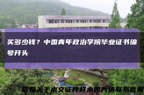 买多少钱？中国青年政治学院毕业证书编号开头缩略图
