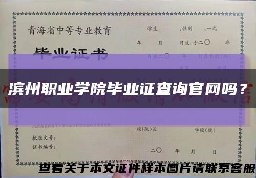 滨州职业学院毕业证查询官网吗？缩略图