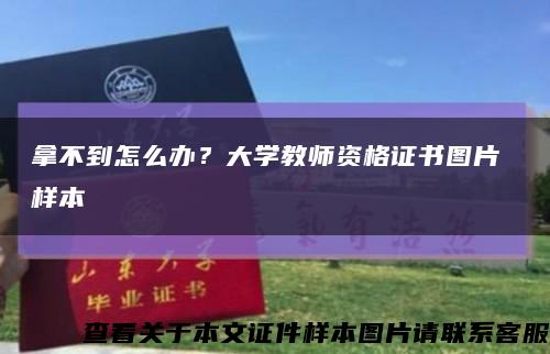 拿不到怎么办？大学教师资格证书图片 样本缩略图