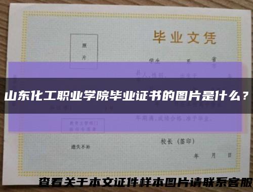 山东化工职业学院毕业证书的图片是什么？缩略图