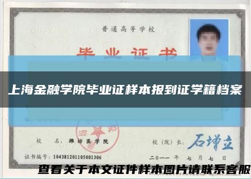 上海金融学院毕业证样本报到证学籍档案缩略图