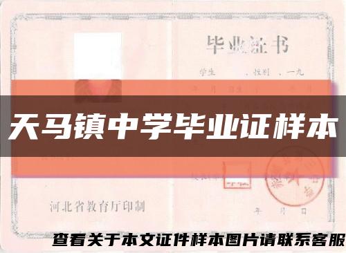 天马镇中学毕业证样本缩略图