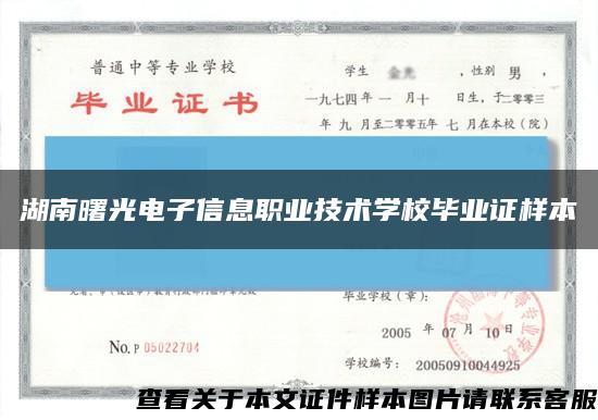 湖南曙光电子信息职业技术学校毕业证样本缩略图