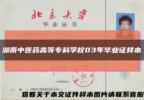 湖南中医药高等专科学校03年毕业证样本缩略图
