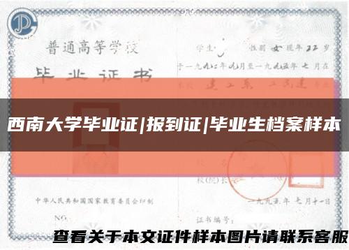 西南大学毕业证|报到证|毕业生档案样本缩略图