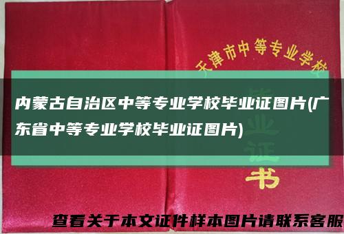 内蒙古自治区中等专业学校毕业证图片(广东省中等专业学校毕业证图片)缩略图