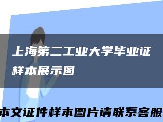 上海第二工业大学毕业证样本展示图缩略图