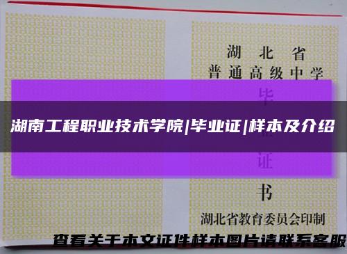 湖南工程职业技术学院|毕业证|样本及介绍缩略图