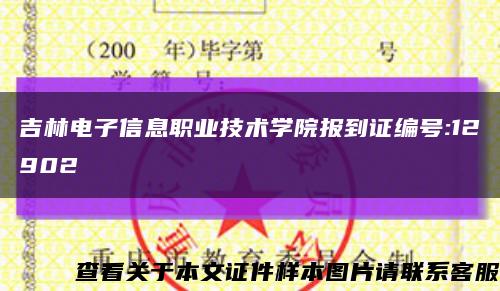 吉林电子信息职业技术学院报到证编号:12902缩略图