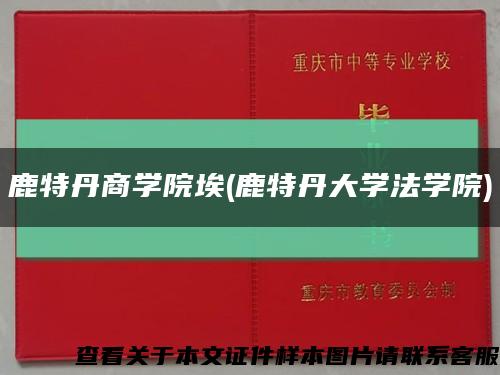 鹿特丹商学院埃(鹿特丹大学法学院)缩略图