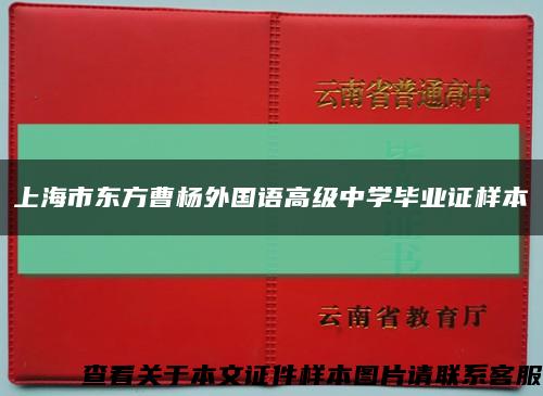 上海市东方曹杨外国语高级中学毕业证样本缩略图
